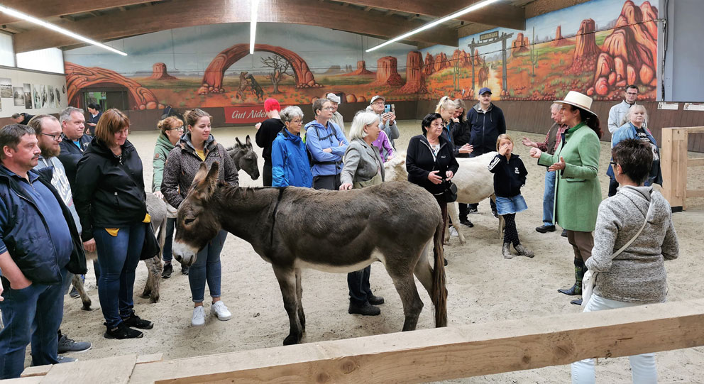 Die Ballermann Ranch ist immer eine Reise wert