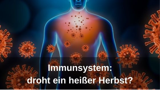 Immunsystem: droht ein heißer Herbst?