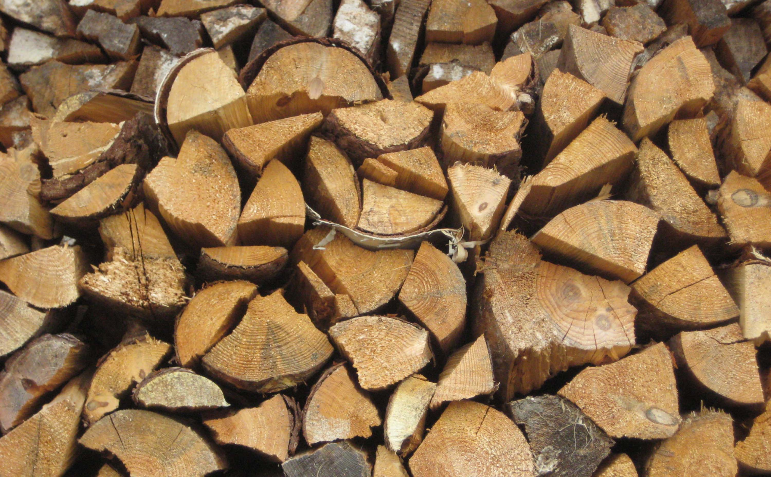 Ökobrennstoff Holz: Die erneuerbare Energie aus der Region