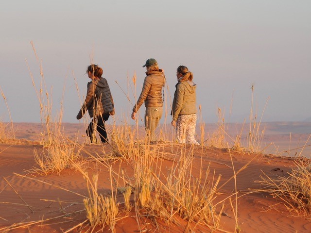 Die Ladies Safari: als Gruppenreise neu für Namibia