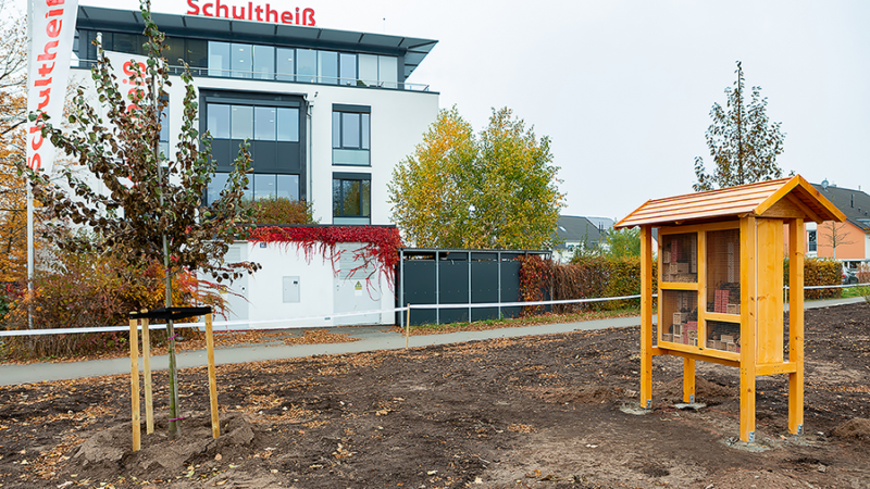 Schultheiß Projektentwicklung AG errichtet neuen Klimahain für die Nürnberger Nordstadt