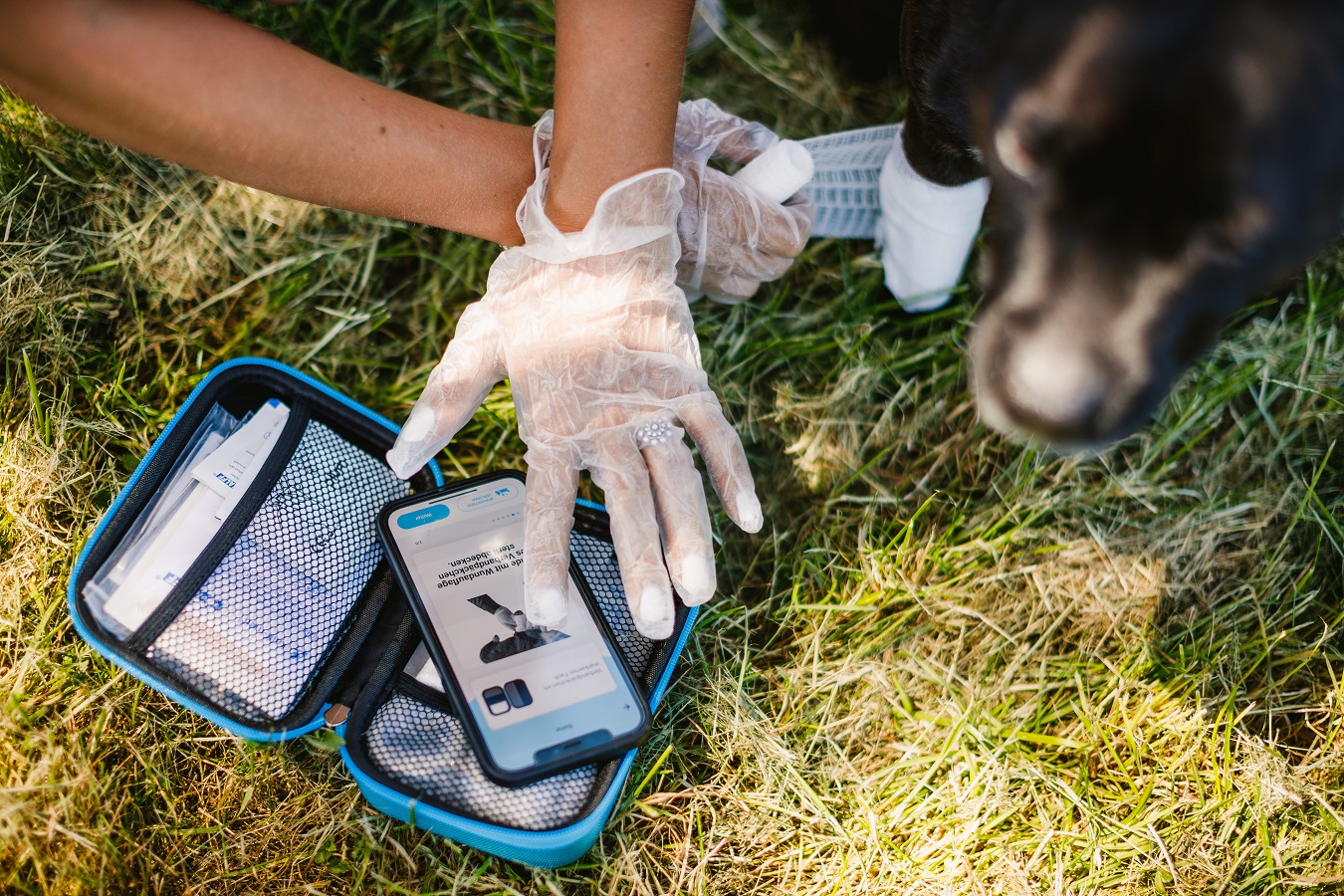 PocDoc PET CONNECT – Innovation für Hunde- und Katzenbesitzer