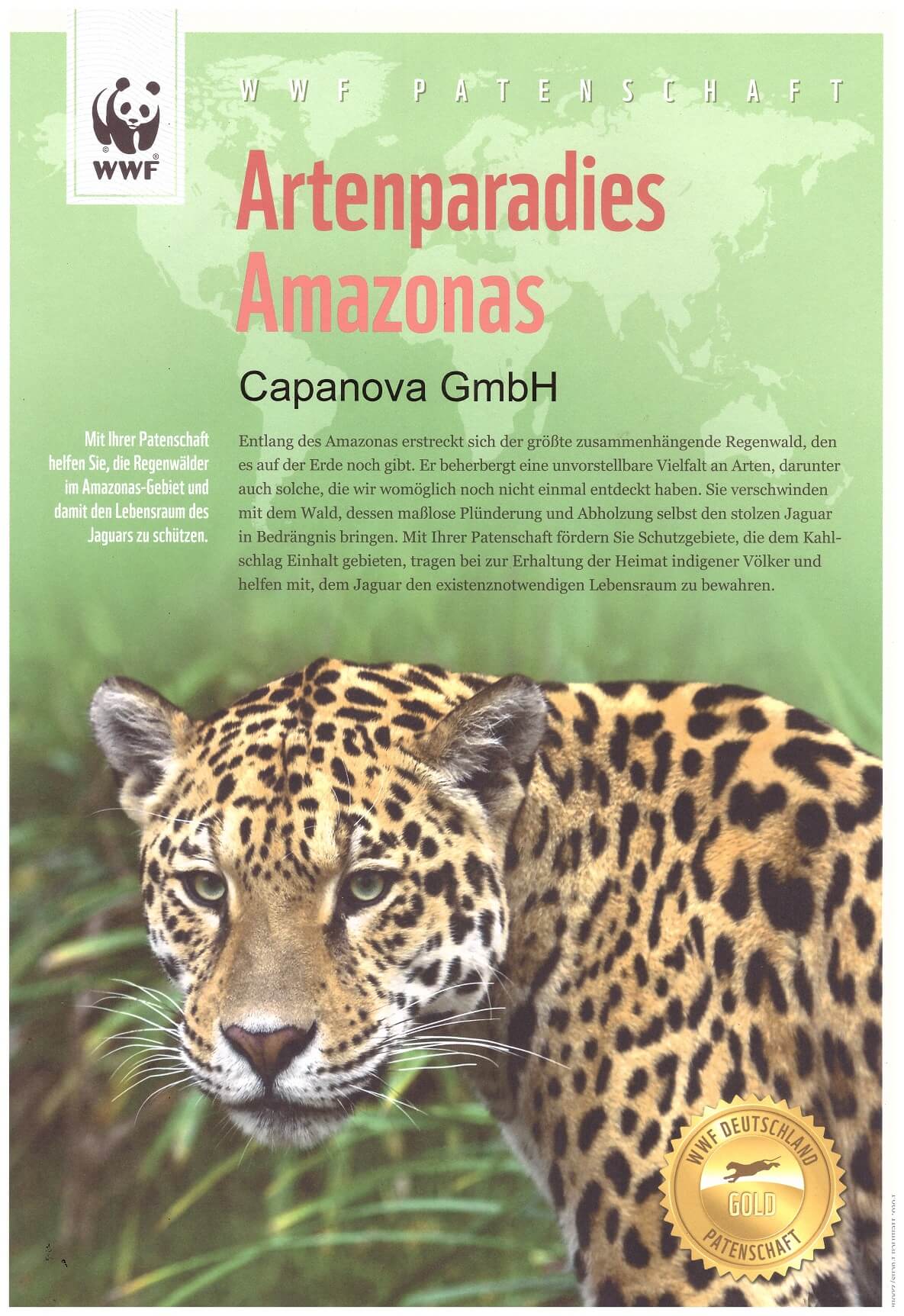 CAPANOVA unterstützt den Jaguar im Amazonas