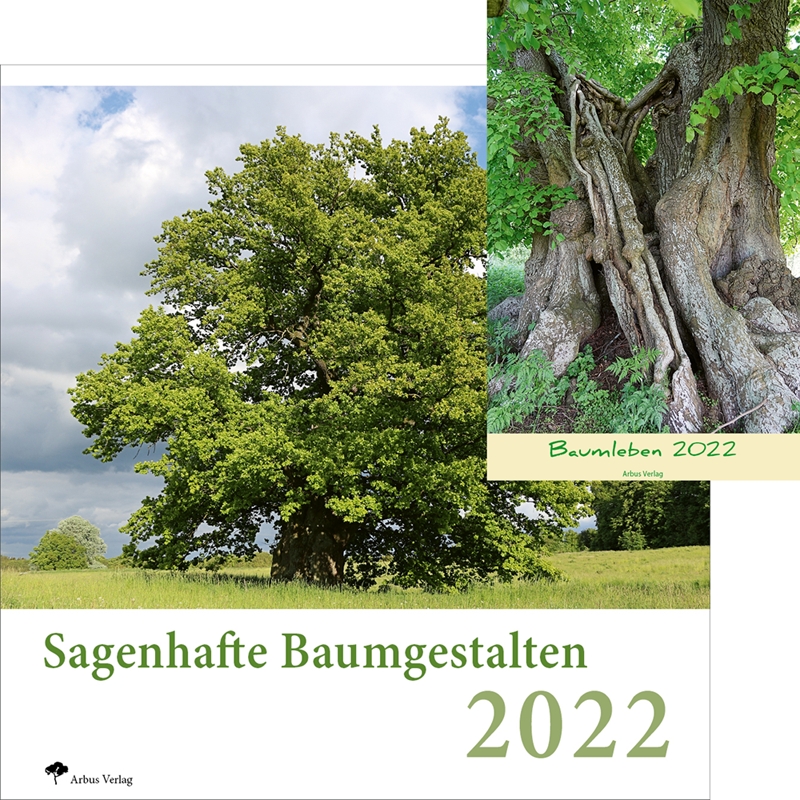 Baumkalender 2022 – Beeindruckende Bäume Deutschlands