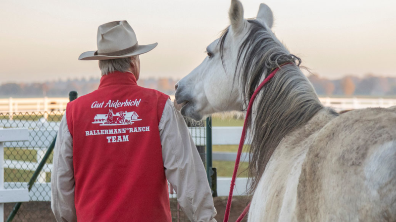 Letzte Chance zum Besuch der Ballermann Ranch