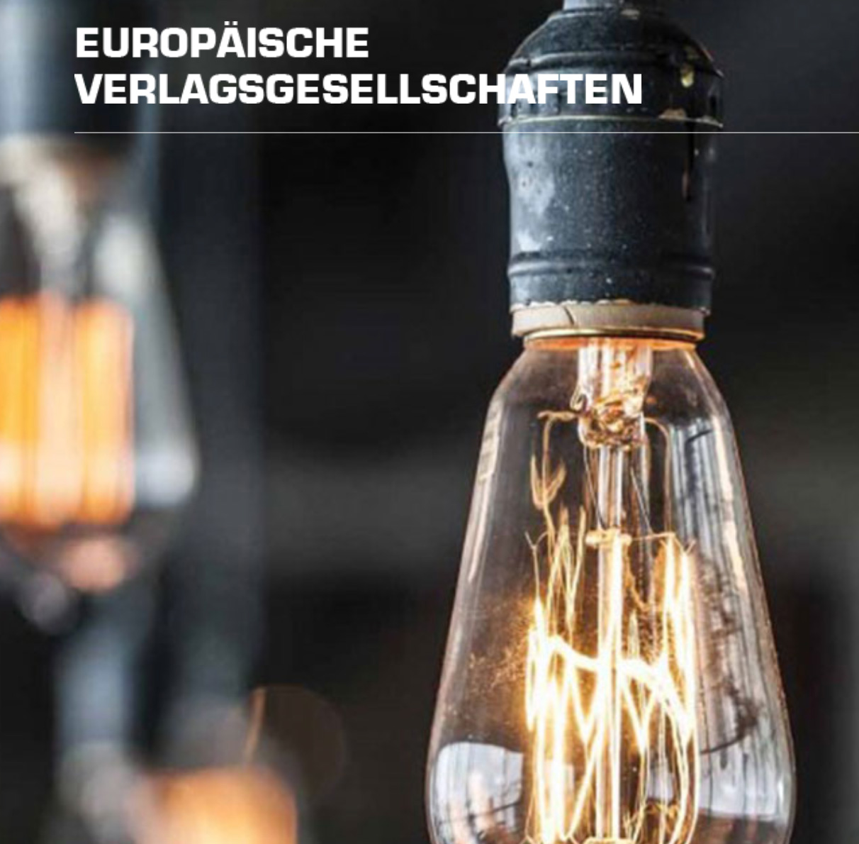 Europäische Verlagsgesellschaften: Buch veröffentlichen