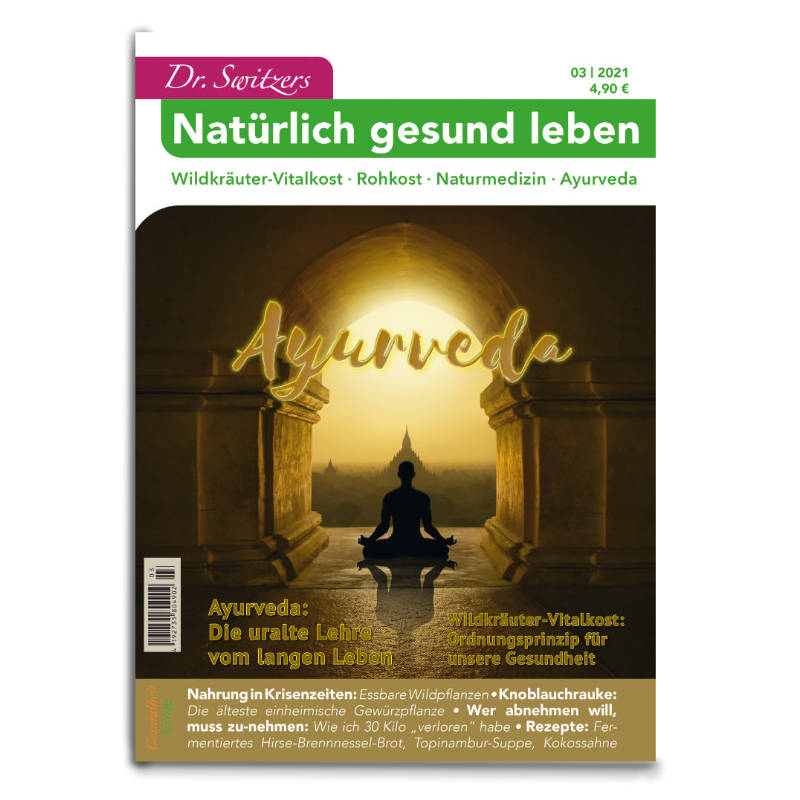 Neues Magazin: Dr. Switzers Natürlich gesund leben – Winter 3/2021