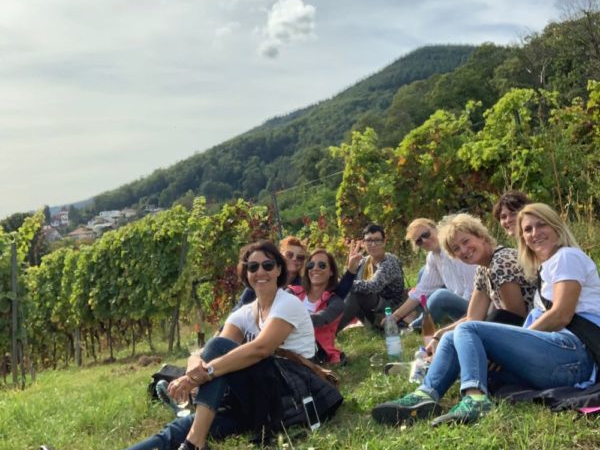 Mal was anderes: Wein Schatzsuche in der Pfalz