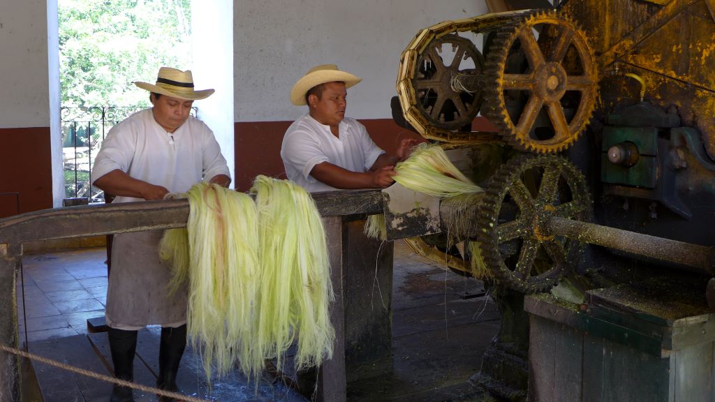 Destination für „Herz-was-willst-du-mehr“- Reisen: Mexiko