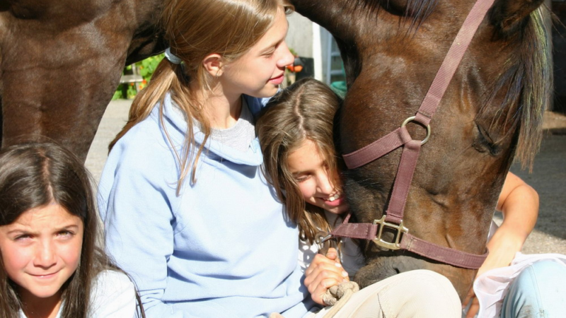 Reiten ist…