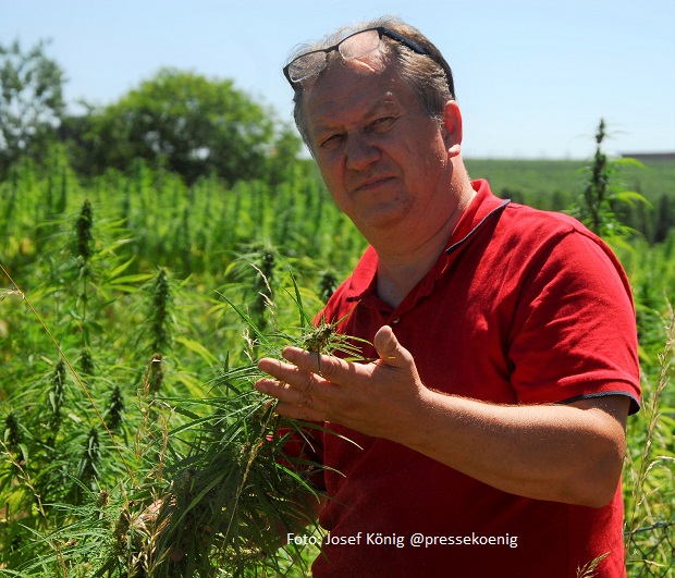 „Legalisierung macht ohne Entkriminalisierung keinen Sinn“