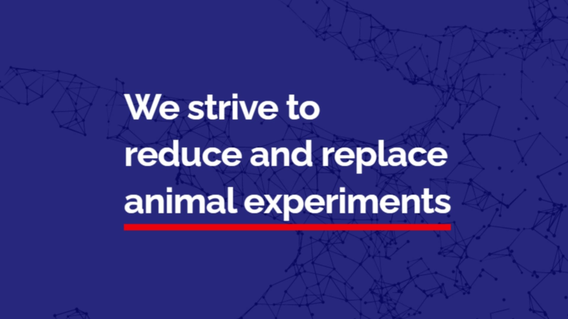 Jens Schwamborn’s mini brains may reduce amount of animal testing