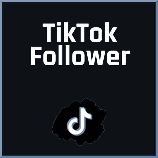 Followerhero hilft auf Tiktok Follower zu gewinnen.