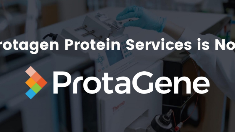 Analytical Service Leaders in Biopharmaceutical and Gene Therapy Development Unify Operations and Re-brand as ProtaGene