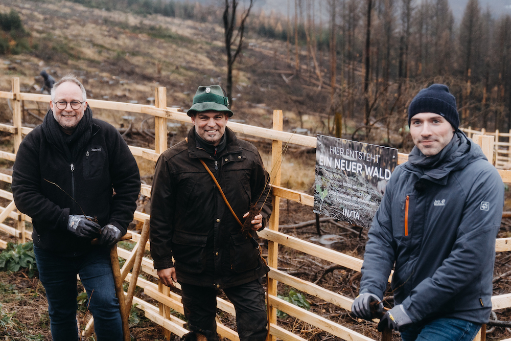 Insta hilft dem Wald in der Region