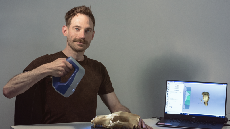 Auf den Spuren des Beutelwolfs mit der 3D-Scantechnologie von Artec 3D
