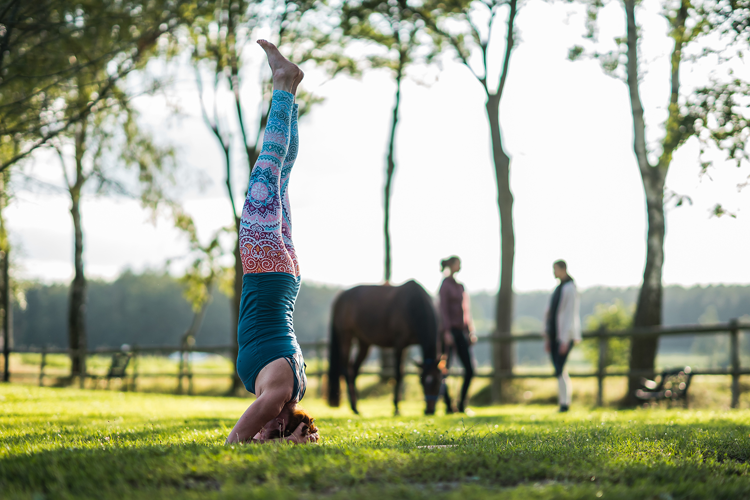 Reiten in Kombination mit Wellness, Yoga und Fasten