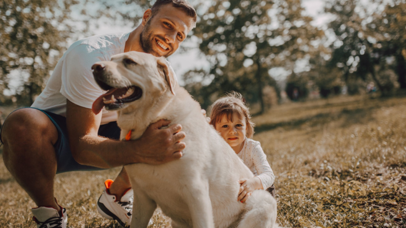 Mehr Schutz für tierische Familienmitglieder