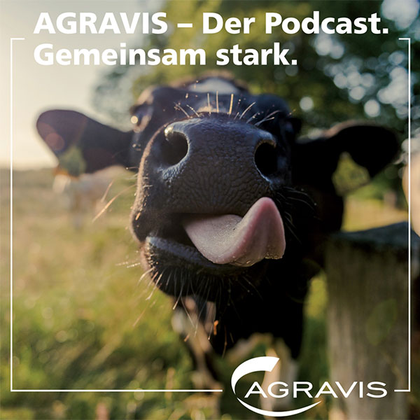 AGRAVIS – Der Podcast. Gemeinsam stark: Die Kuh – Klimakiller oder Klimaheld?