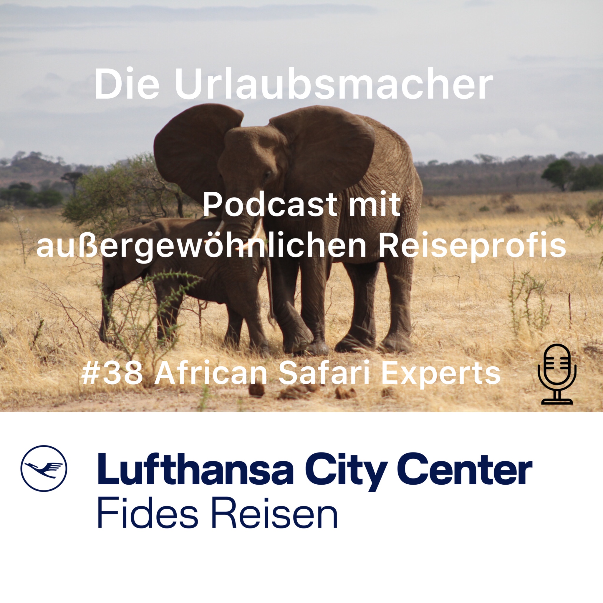 Reisepodcast Die Urlaubsmacher #38: Tansania, Safari, Berggorillas und Sansibar