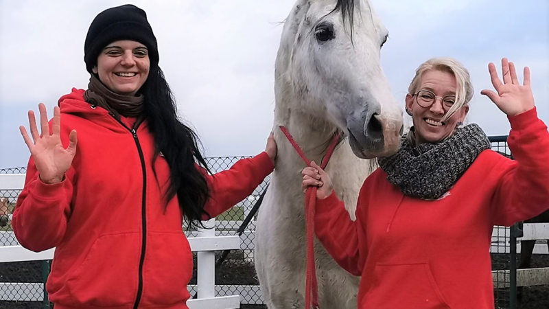 Endlich wieder Ponys knuddeln – Die Ballermann Ranch öffnet