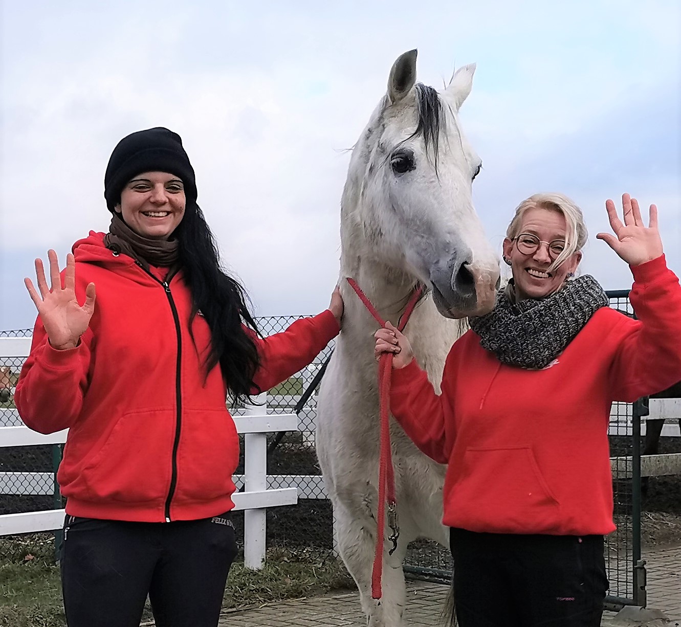 Endlich wieder Ponys knuddeln – Die Ballermann Ranch öffnet