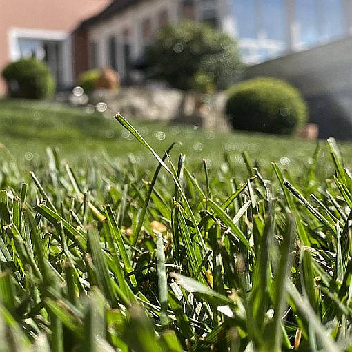 Für einen erfolgreichen Start in die Gartensaison