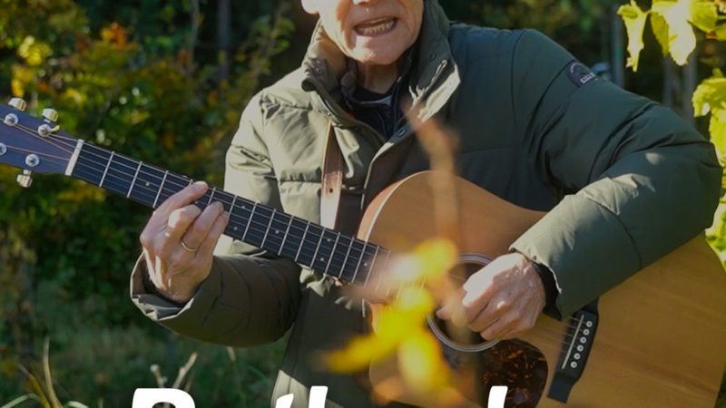 „Rotbuche – Baum des Jahres“ – der Song zum wichtigsten Baum in Europa