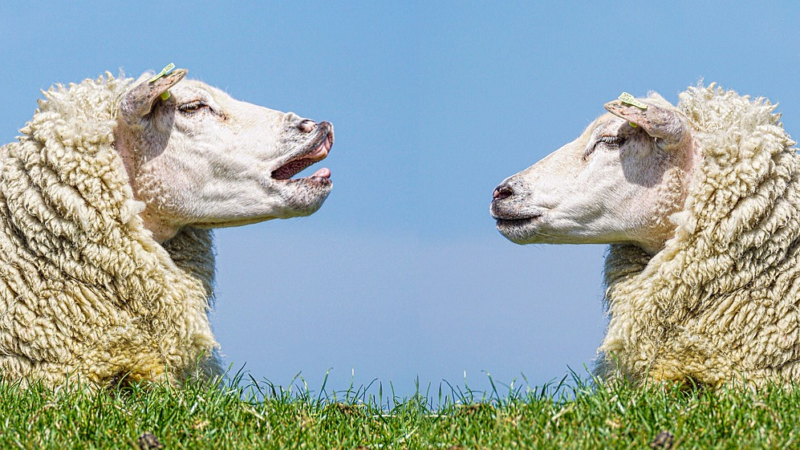 Wege zur Verständigung im aktuellen Kriegseschehen