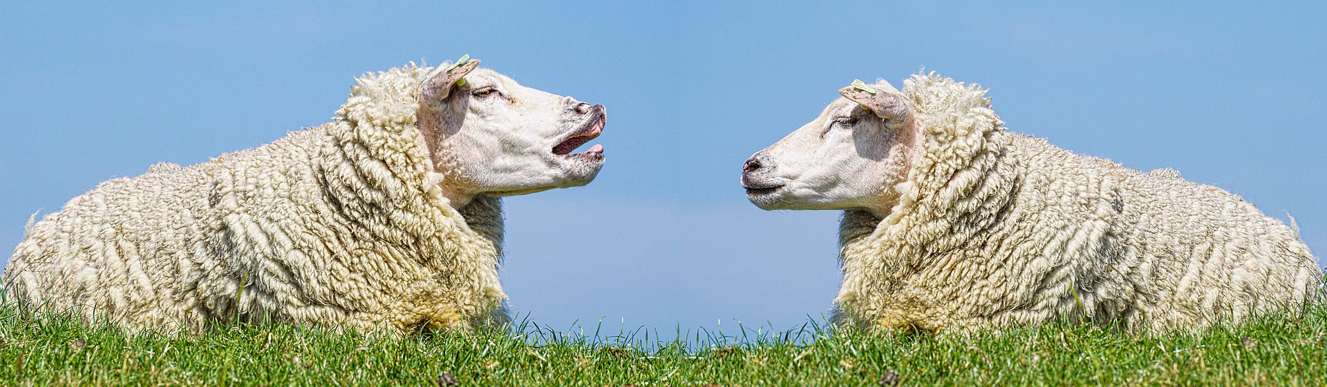 Wege zur Verständigung im aktuellen Kriegseschehen