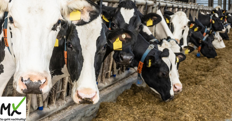 MX-Konzept der AGRAVIS verbindet Methanreduktion und Futtereffizienz