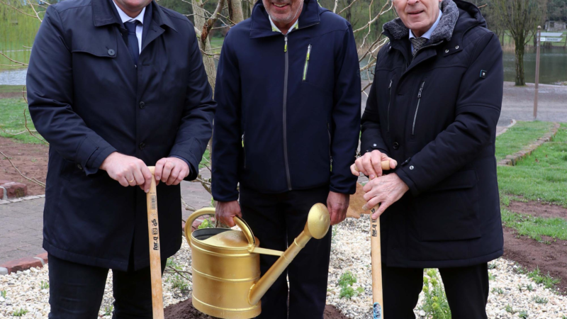 Öffentliches Grün mit Vorbildcharakter: „Goldener Ginkgo“ für Andre Jankwitz