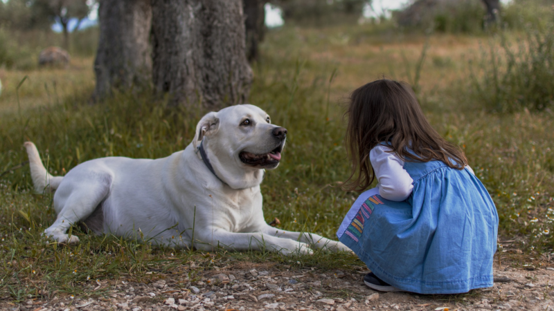 Osterspaziergang: Wenn Kind auf Hund trifft