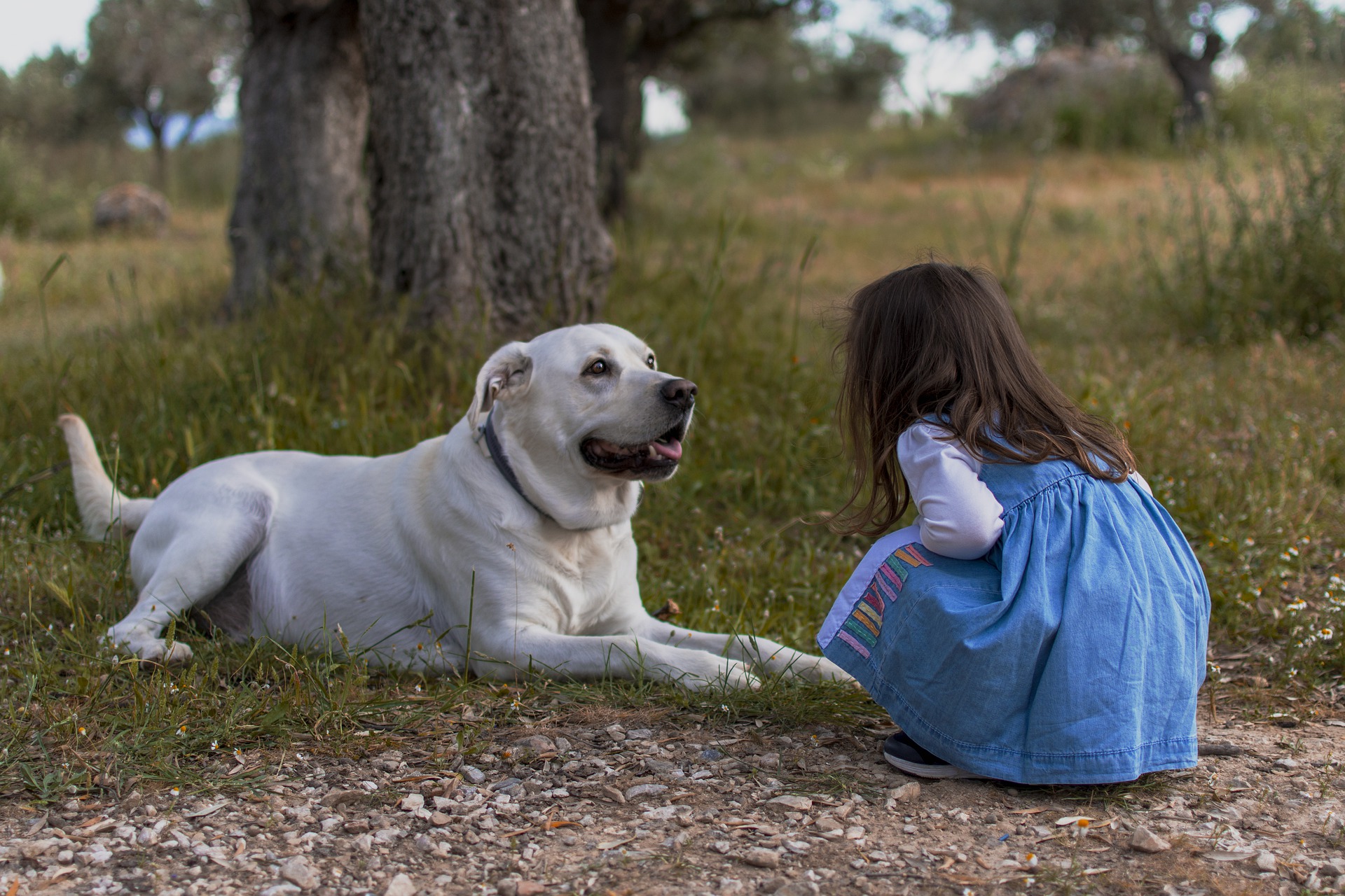 Osterspaziergang: Wenn Kind auf Hund trifft