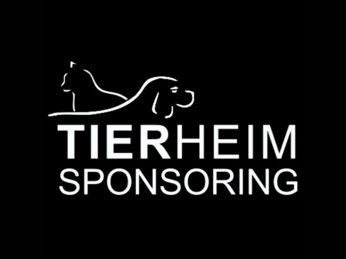 Tierheimsponsoring: Ein Rundum-Sorglos-Paket für Tierheime