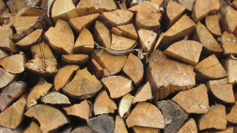 Brennholz vom Forstamt: Zunehmende Nachfrage, leicht steigende Preise