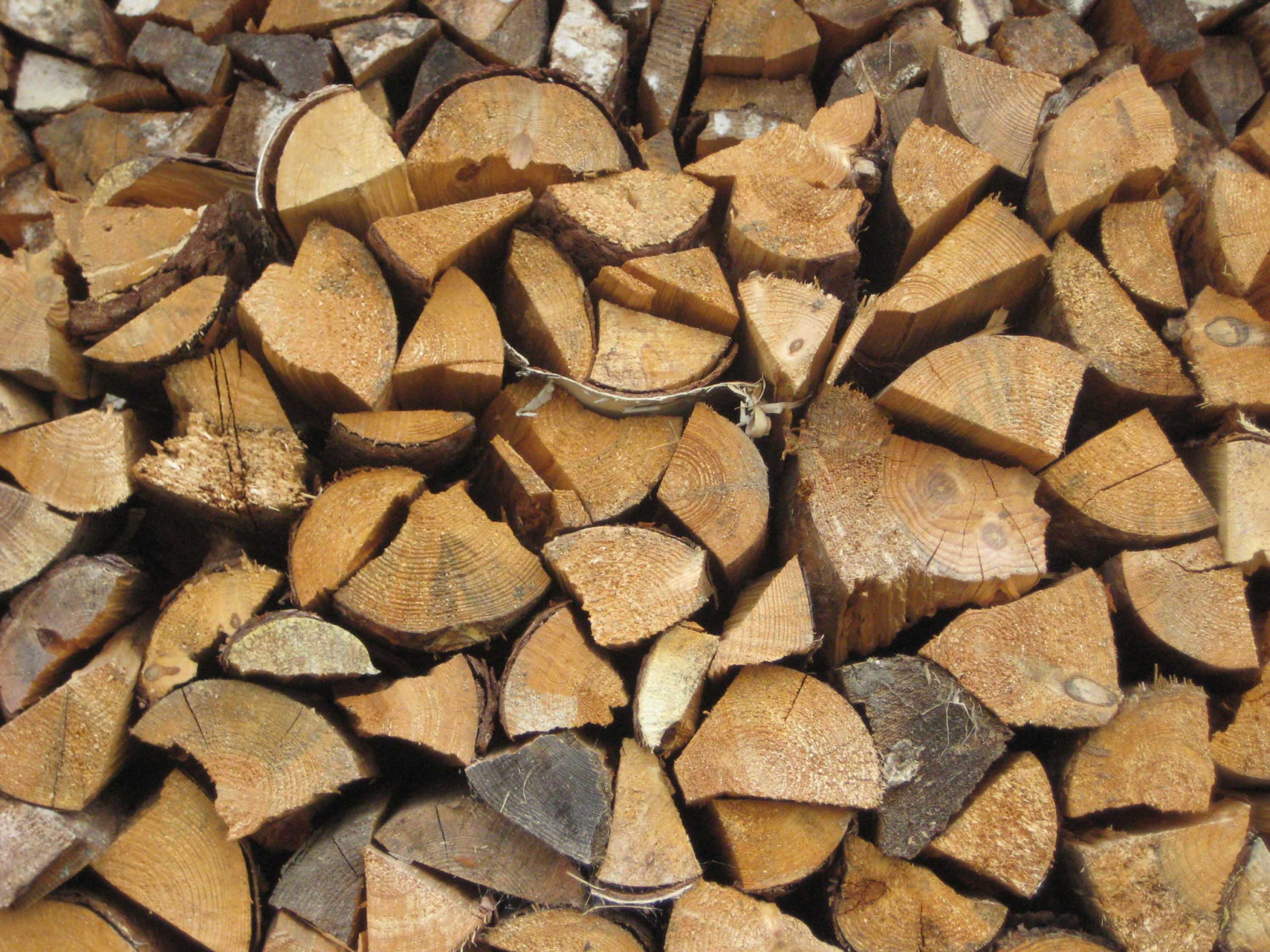 Brennholz vom Forstamt: Zunehmende Nachfrage, leicht steigende Preise