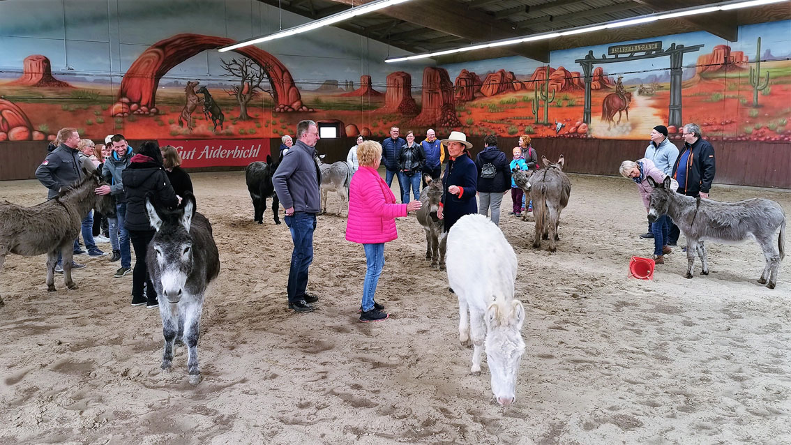 Ballermann Ranch – Führung mit Schnütchen Tessa