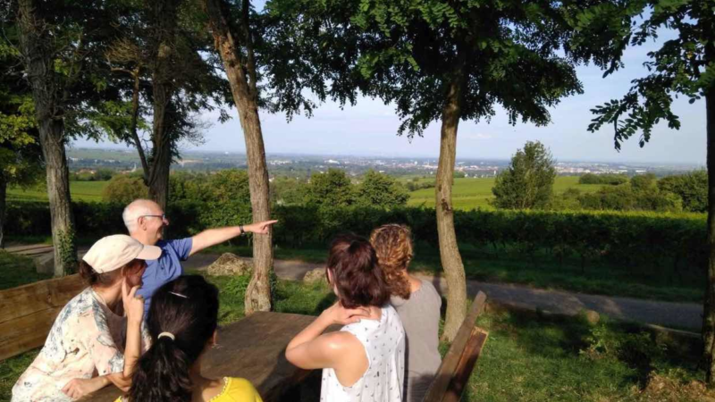 Teamgeist stärken bei einer Weinwanderung in der Pfalz