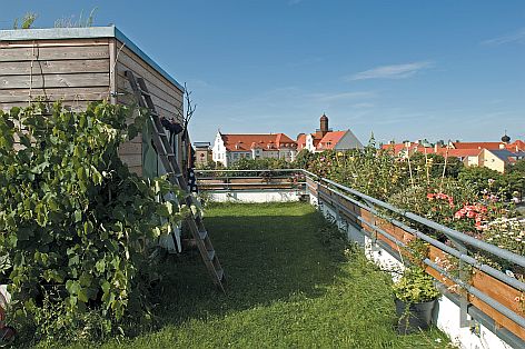 Ökologisch wertvoll für Stadt & Mensch