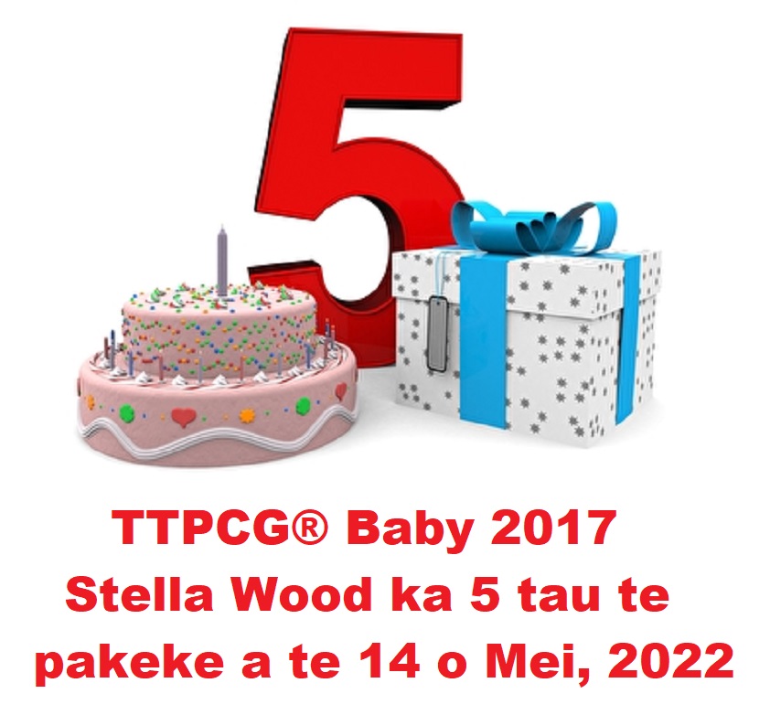 Wie die Zeit vergeht – Stella Wood feierte ihren 5. Geburtstag