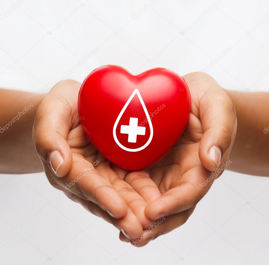 Nationale Blutspenden-Aktion der Shincheonji Gemeinden in Deutschland