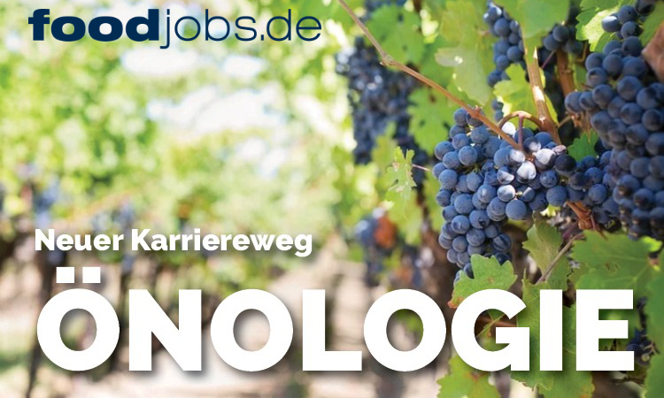 Von der Traube zum Wein – foodjobs.de informiert über den Karriereweg Önologie / Weinwirtschaft