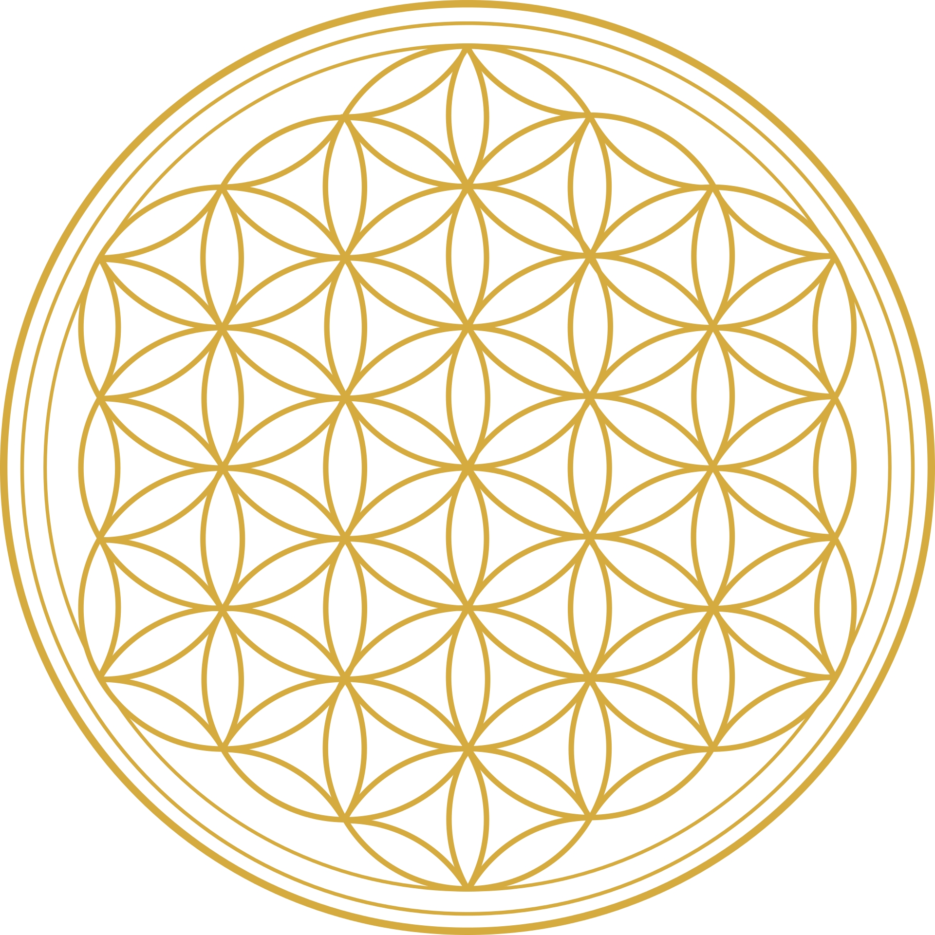 Ayurveda-Konstitution und Ayurveda-Kochkurs – Online