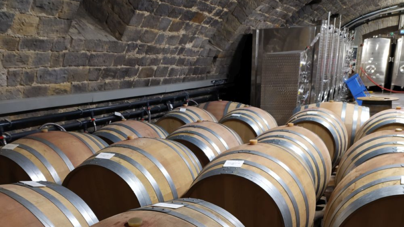 Tipp für den Betriebsausflug: Weinprobe in der Pfalz