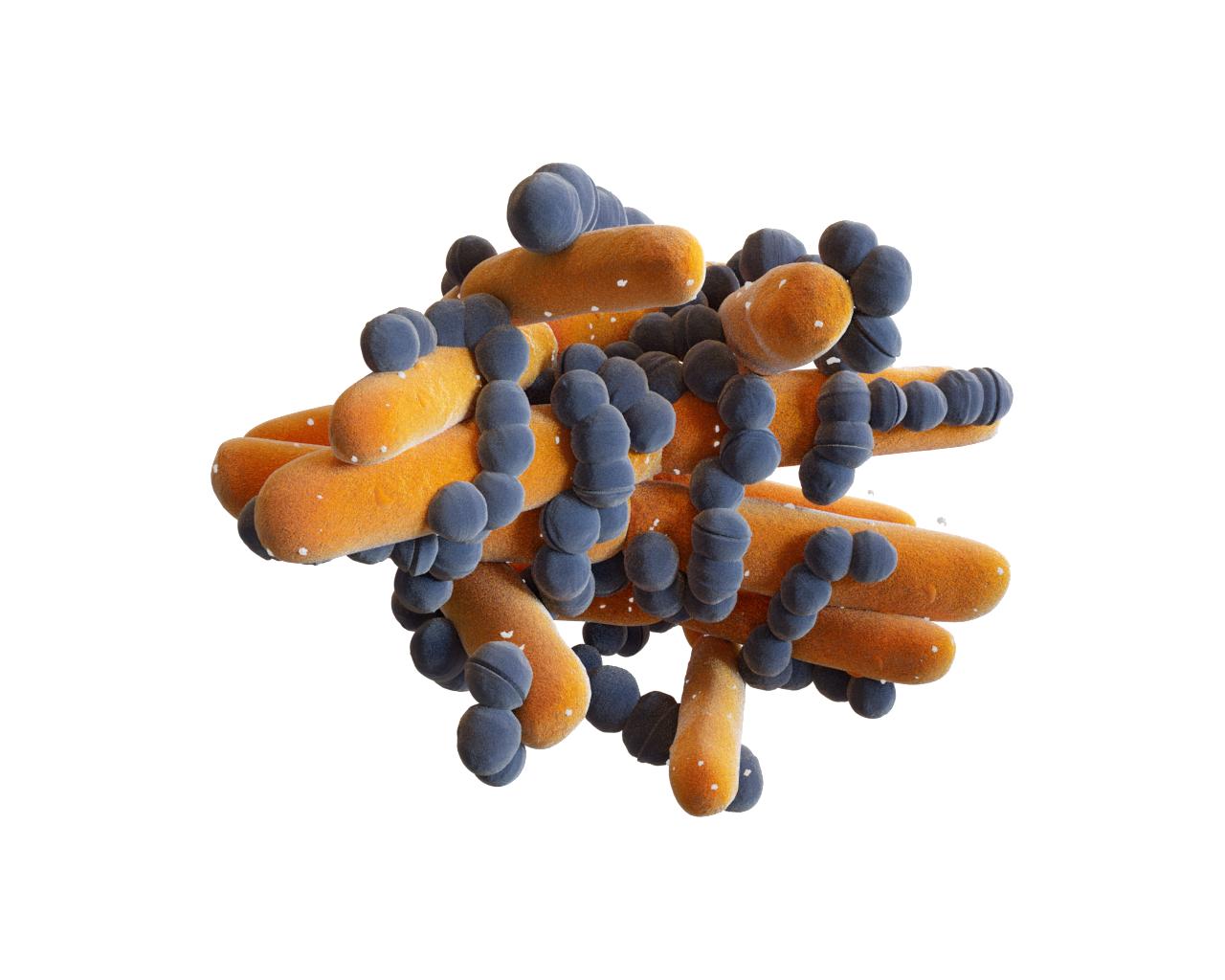 Mikrobiom-Wirkstoff kann Corona Virus-Infektion verhindern