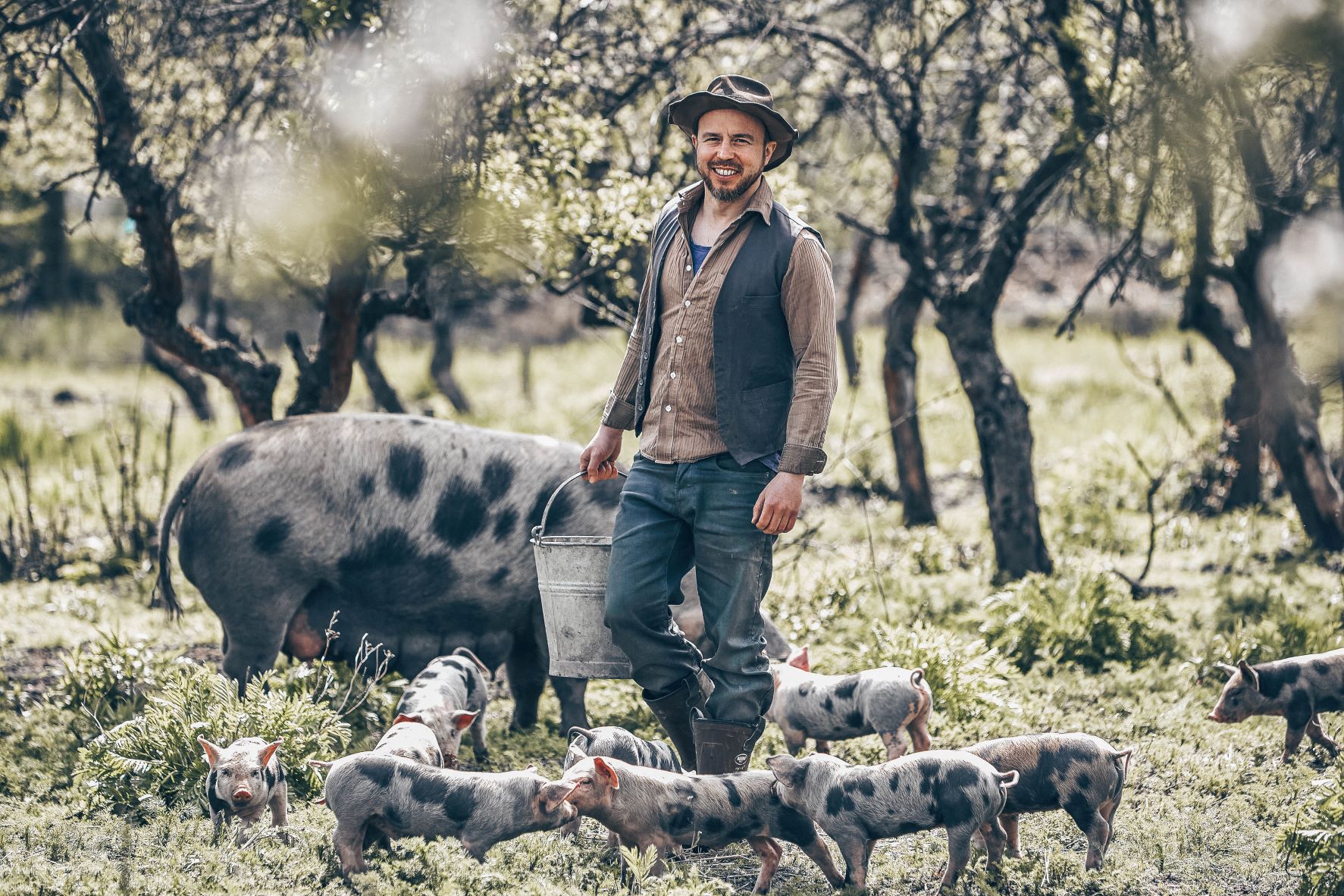 Özdemirs Tierlabel verbessert Schweinehaltung nicht