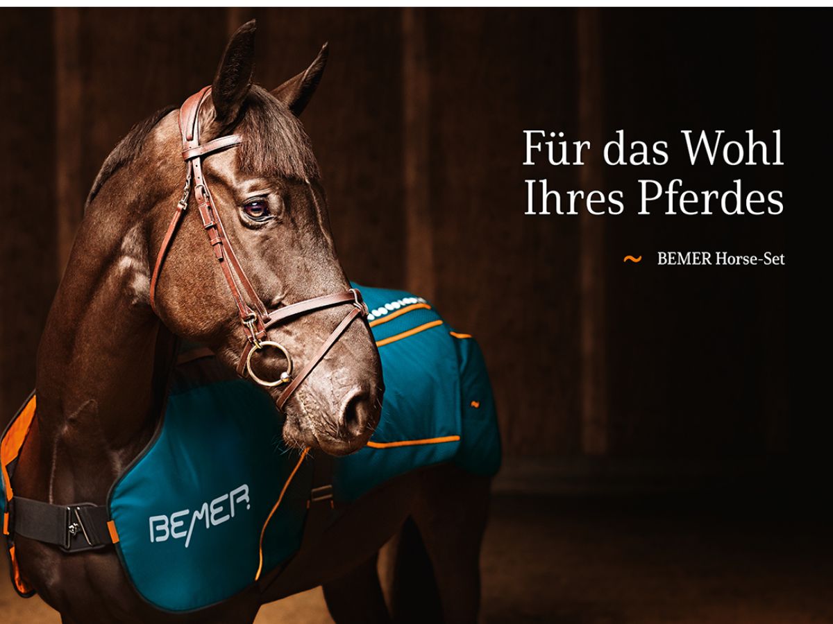 BEMER Horse: Regeneration und Entspannung für Pferde