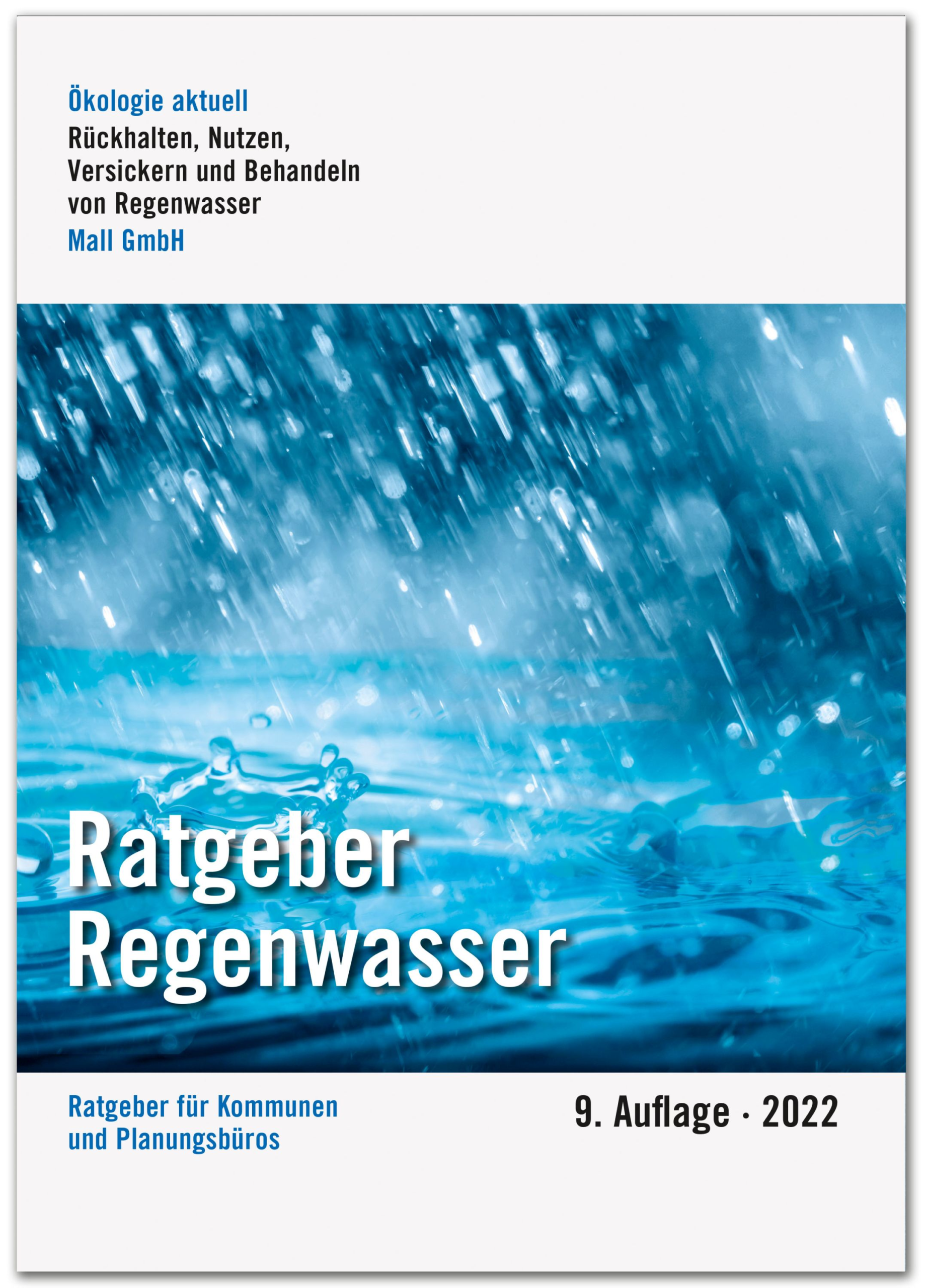 Regenwasser – wertvolle Ressource für unsere Städte