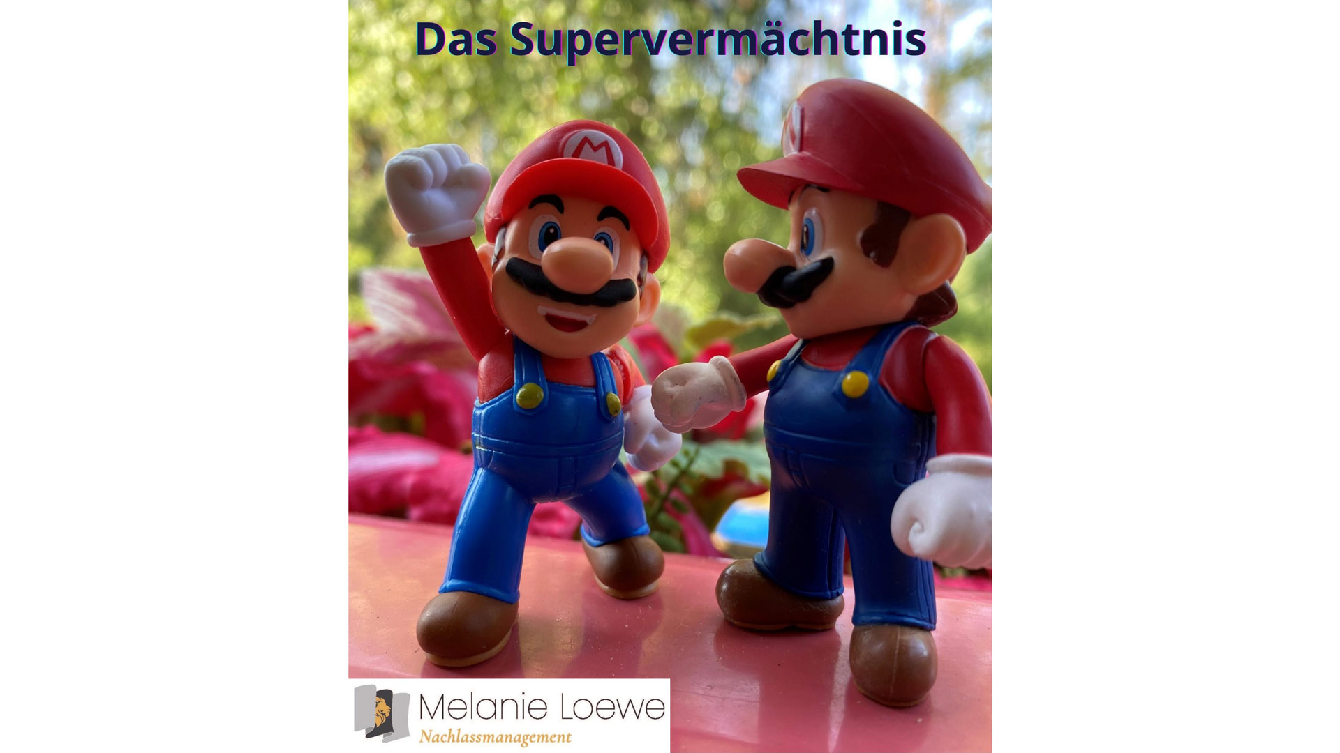 Das Supervermächtnis